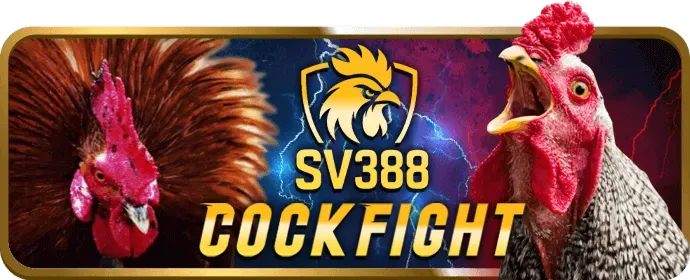 Tỷ lệ RTP cao okking9