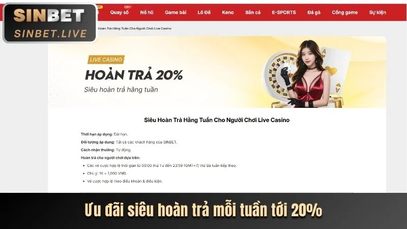 Hoàn trả thua cược OKKING9